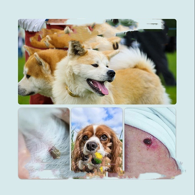 SafeCoat™ Defense Collar